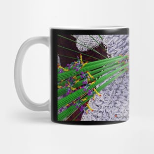 Microtubules During Mitosis Mug